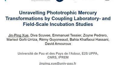 Unravelling Phototrophic Mercury Transformations by Coupling Laboratory- and Field-Scale Incubation Studies